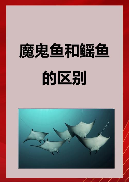 海底之尾任务：解密封印，点亮电灯笼，获得御灵珠