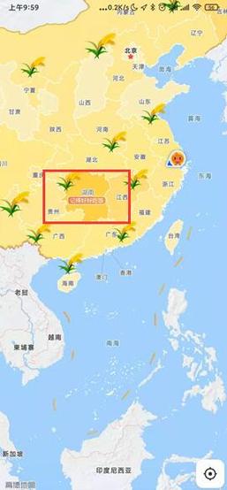 高德地图水稻地图功能，纪念袁隆平爷爷！