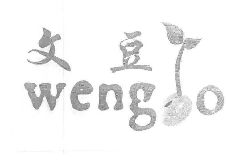 Wengo网站：专业咨询，值得信赖