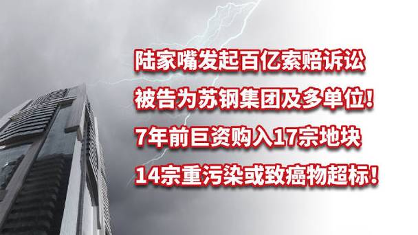陆家嘴29s事件发酵：网友热议不断