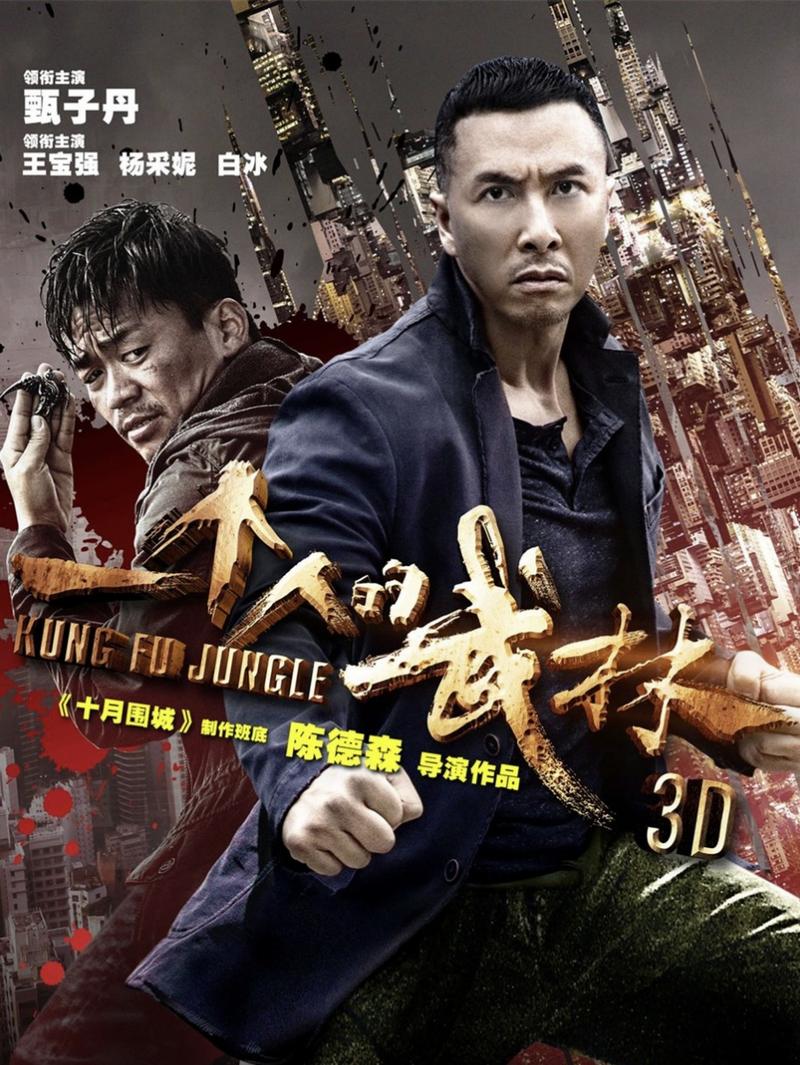 甄子丹新片武侠  揭开武林真相