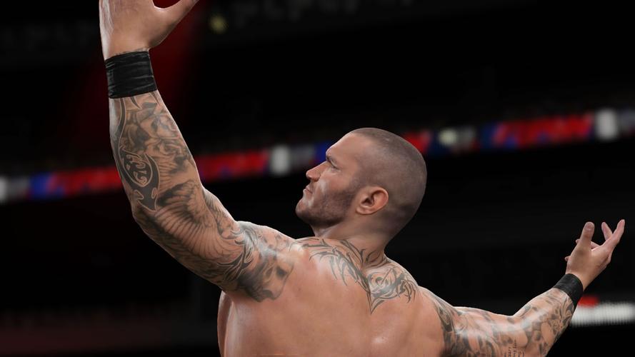 WWE2K15老是闪退？可能是这几个原因