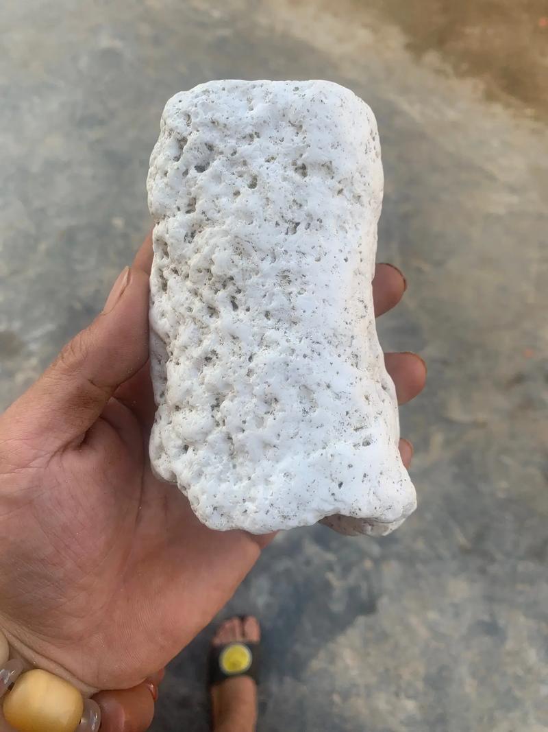 不只是香料，龙涎香还来自它？
