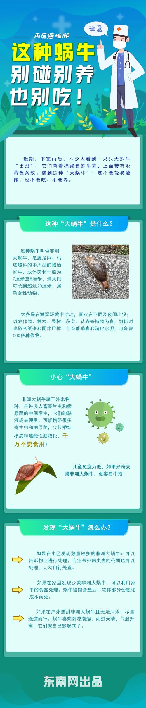 雨后蜗牛爬墙，你了解它们吗？