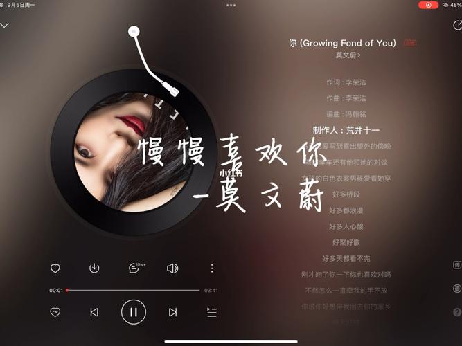 这首歌叫什么？是你要的自由？