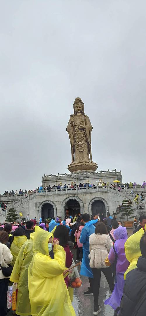 想玩普陀山？ 不同流派加点大揭秘！