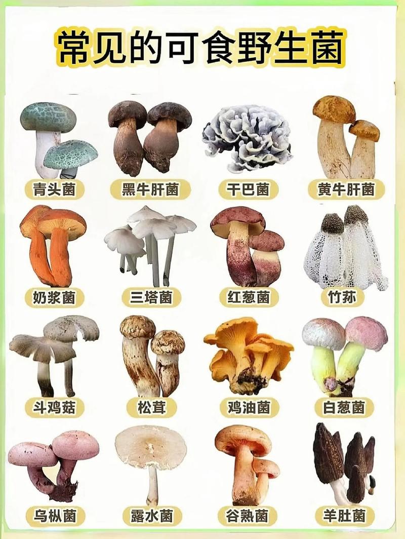 想成为勇者？这些条件缺一不可！