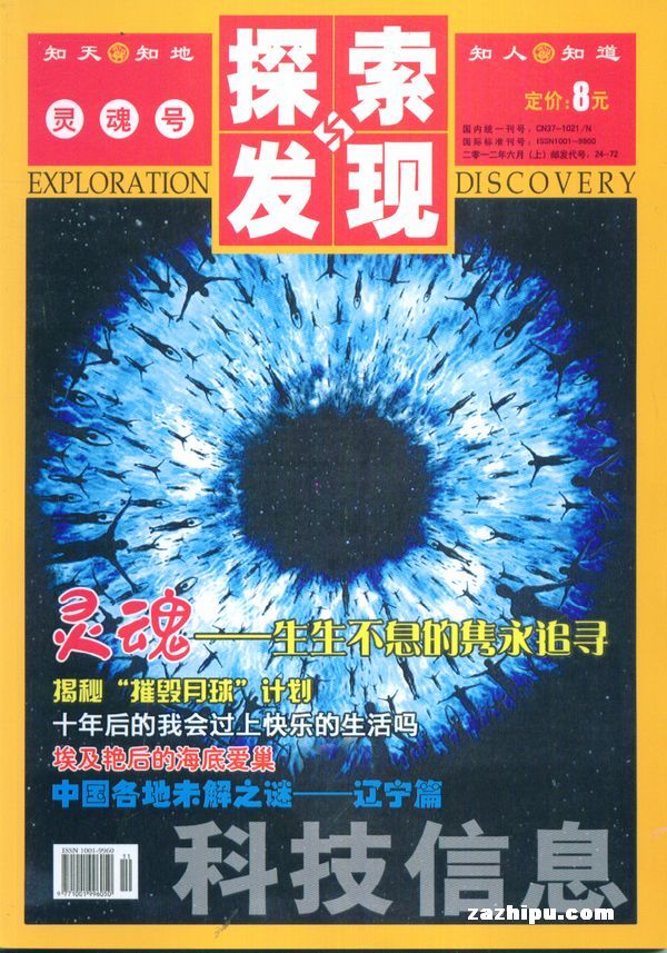 探索WDDYW.COM电影网：机械化理想国度的真相