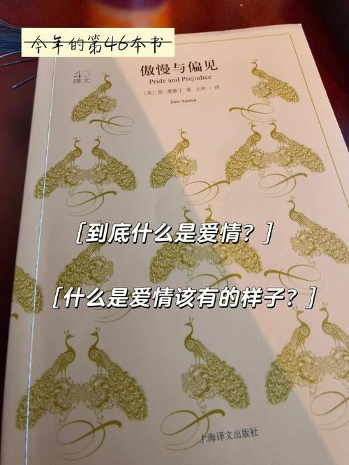 杜升的选择：爱情与事业的抉择