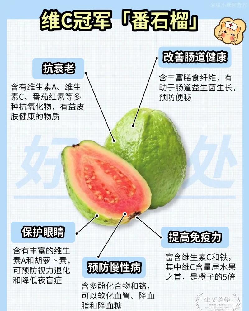 番石榴和石榴：来自不同地方的美味