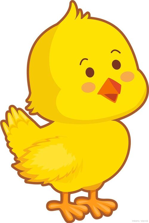 会说话的小鸡：可爱的小瘪鸡