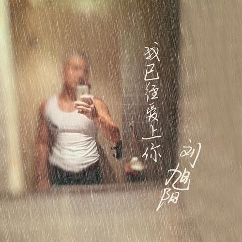“我已经爱上你”  听闻念阳凡懿火爆抖音