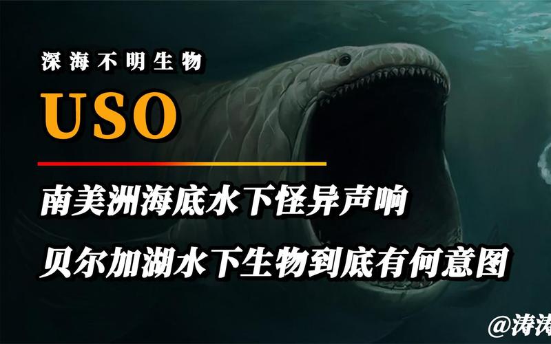 海底惊现USO！你相信外星生命吗？