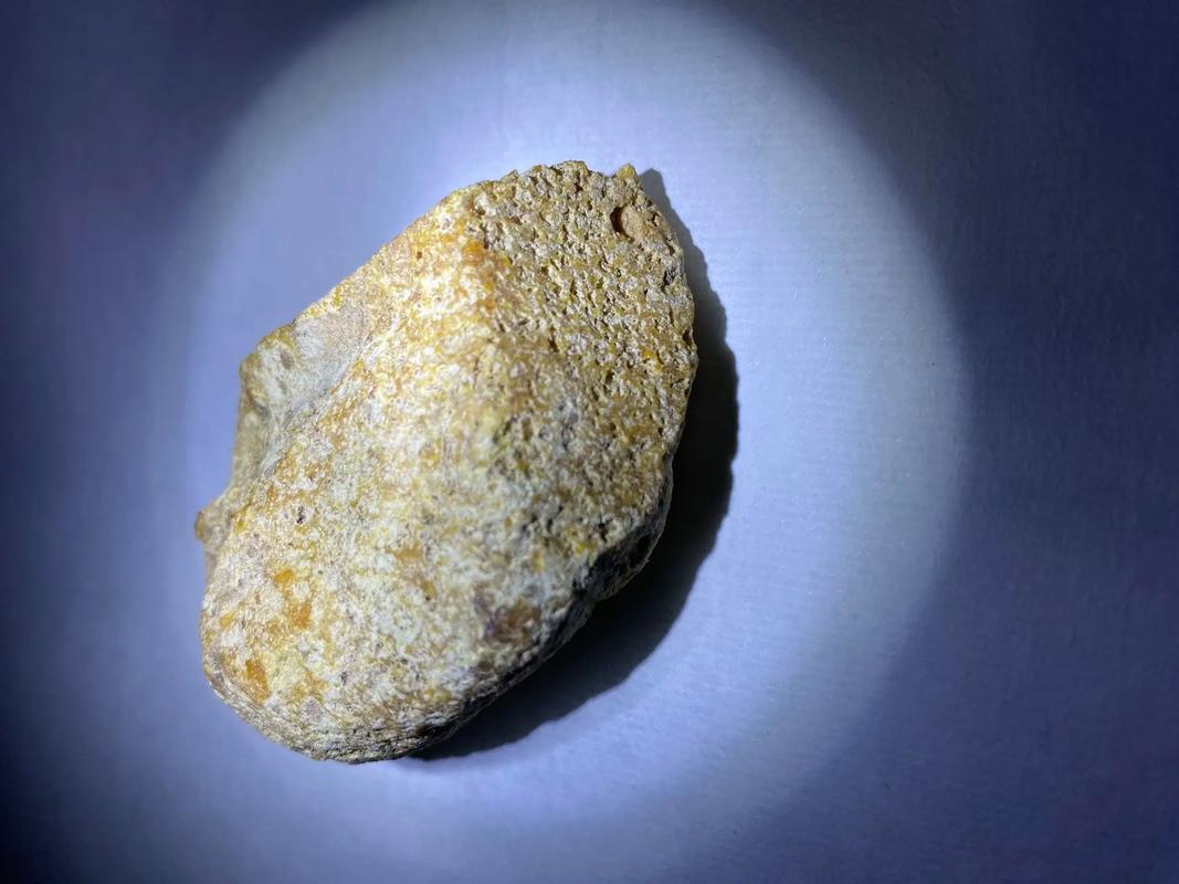 不只是香料，龙涎香还来自它？