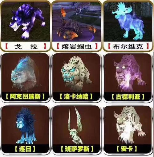 寻找诺森德灵魂兽，解锁你的猎人新宠