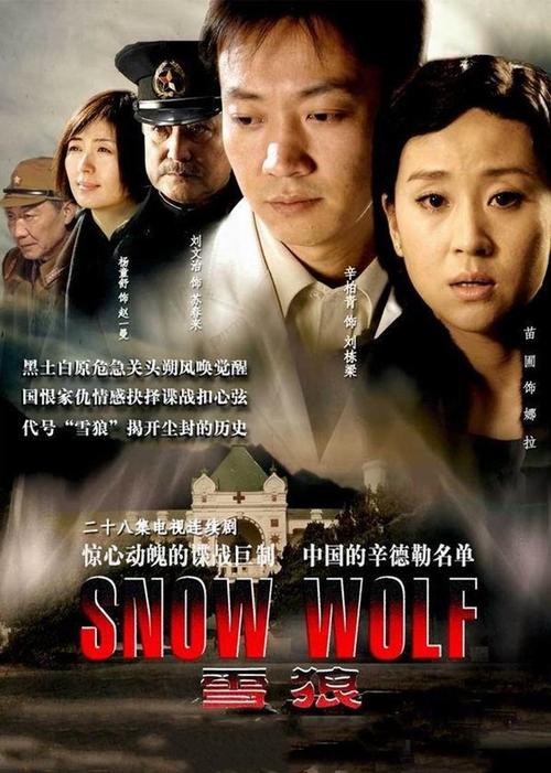 雪狼电视剧：改编自同名小说，还原历史真相