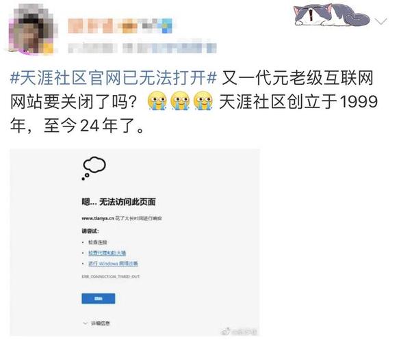 天涯论坛网破产审查，一代网民的回忆