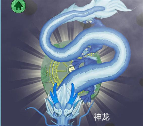 召唤神龙进化：化身超级神龙