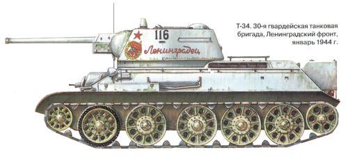 T-34-3：高单发铁头，到底打钱神器吗？