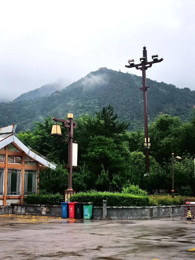 枫雪天论坛：互动平台，精彩无限