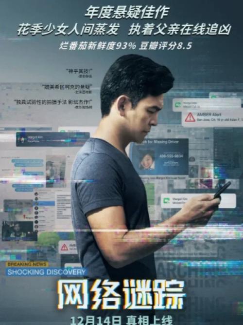 战斗中失踪：寻找真相的故事