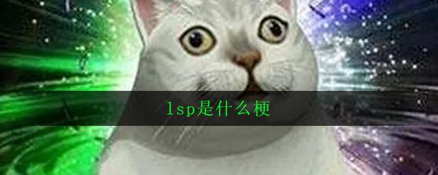 lsp是什么梗？别再用错啦！