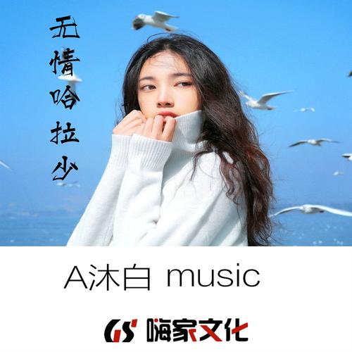 无情哈拉少：这首歌你一定听过！