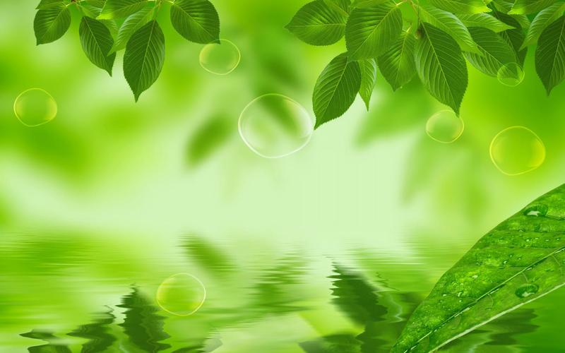 97kan网站PageRank值查询，最新网址收录情况