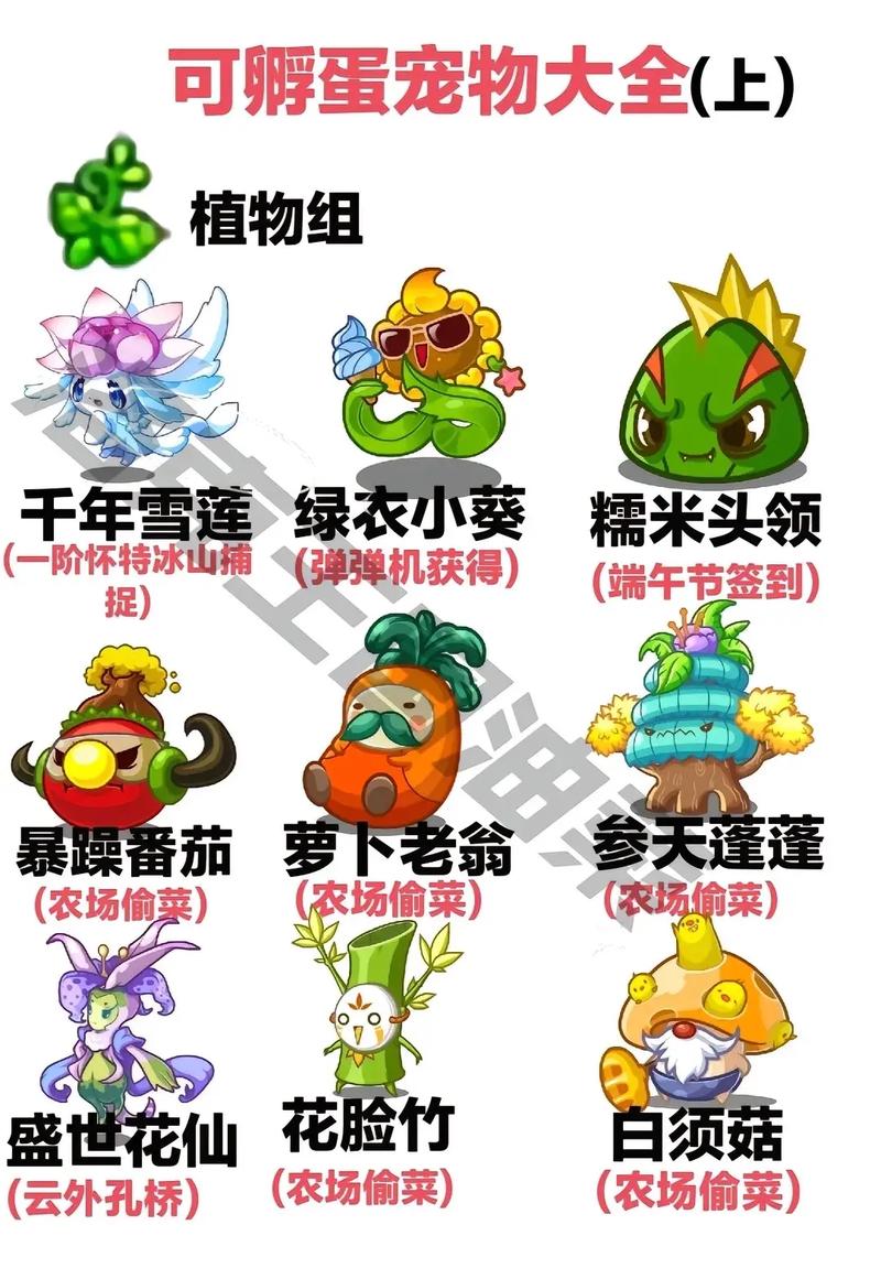 洛克王国孵蛋配对：如何获得完美宠物？