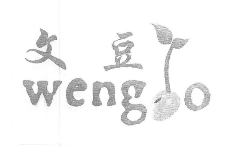 Wengo网站：专业咨询，值得信赖