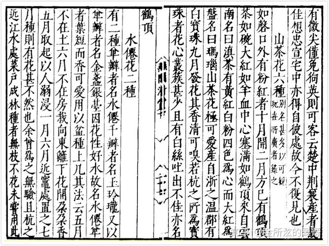 辣椒传入中国，诗人谁先尝鲜？