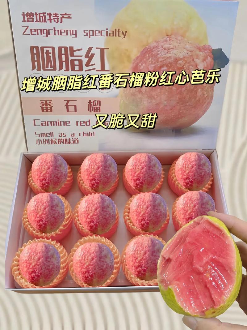 番石榴和石榴：来自不同地方的美味