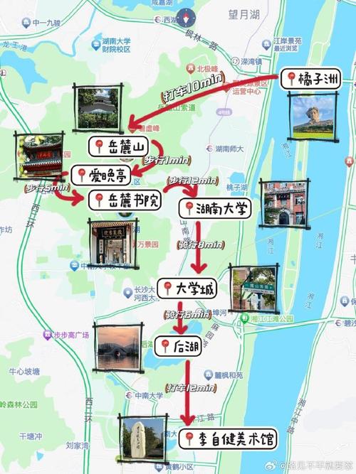 刀疤鼠最强攻略：速战速决才是胜利之道