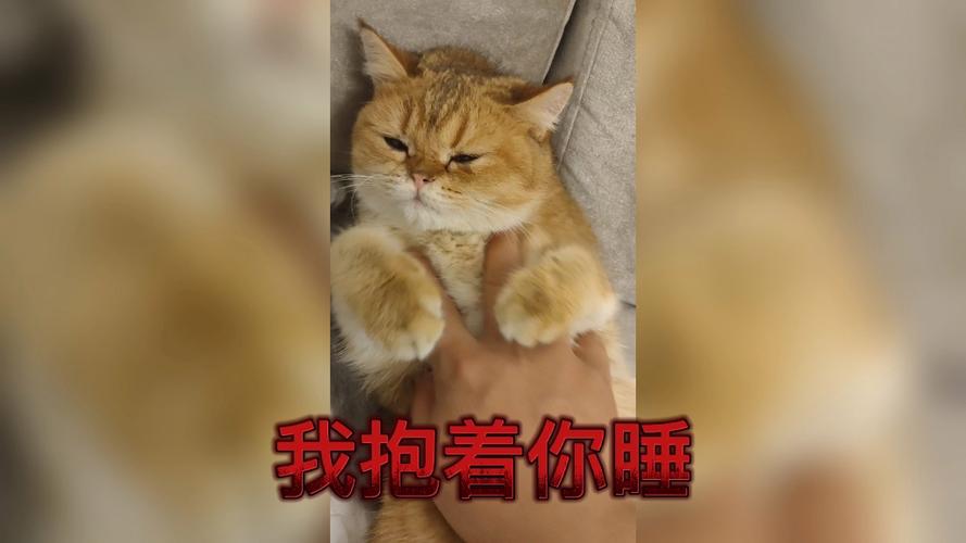 不想陪你睡！是变心了吗？