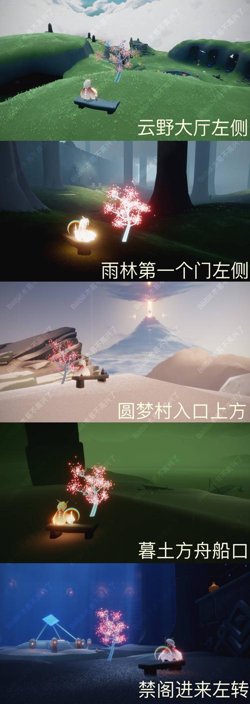 霞谷赏花攻略，飞上山顶看樱花