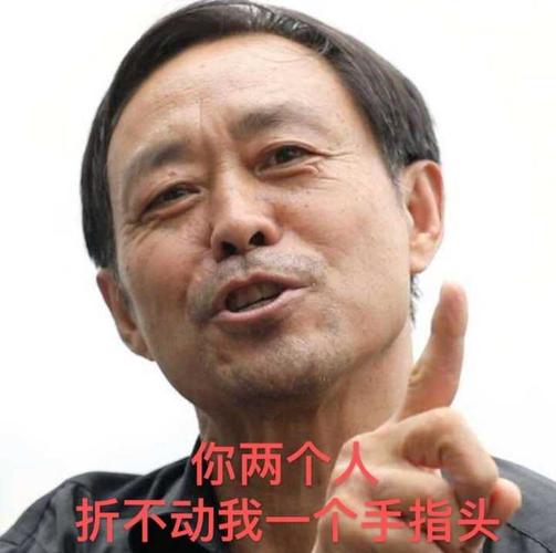 马保国表情包：抖音最火的梗