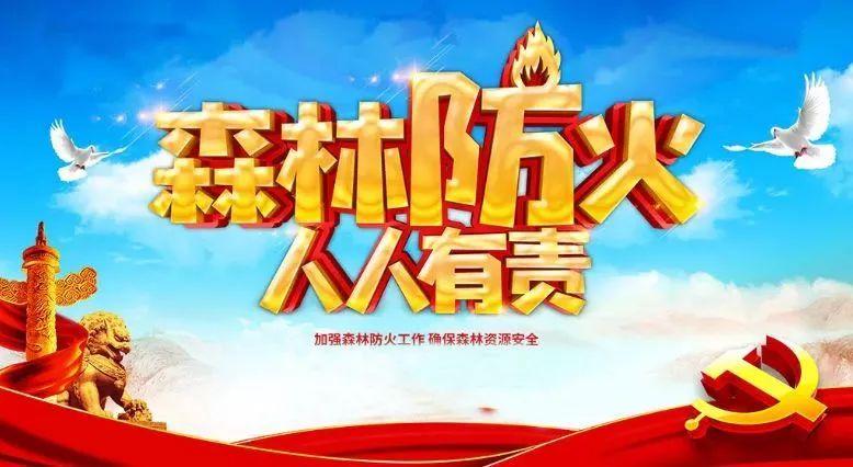 妈妈的森林，我们的责任