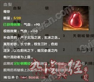 九阴真经奇珍：增强经脉的神奇功效