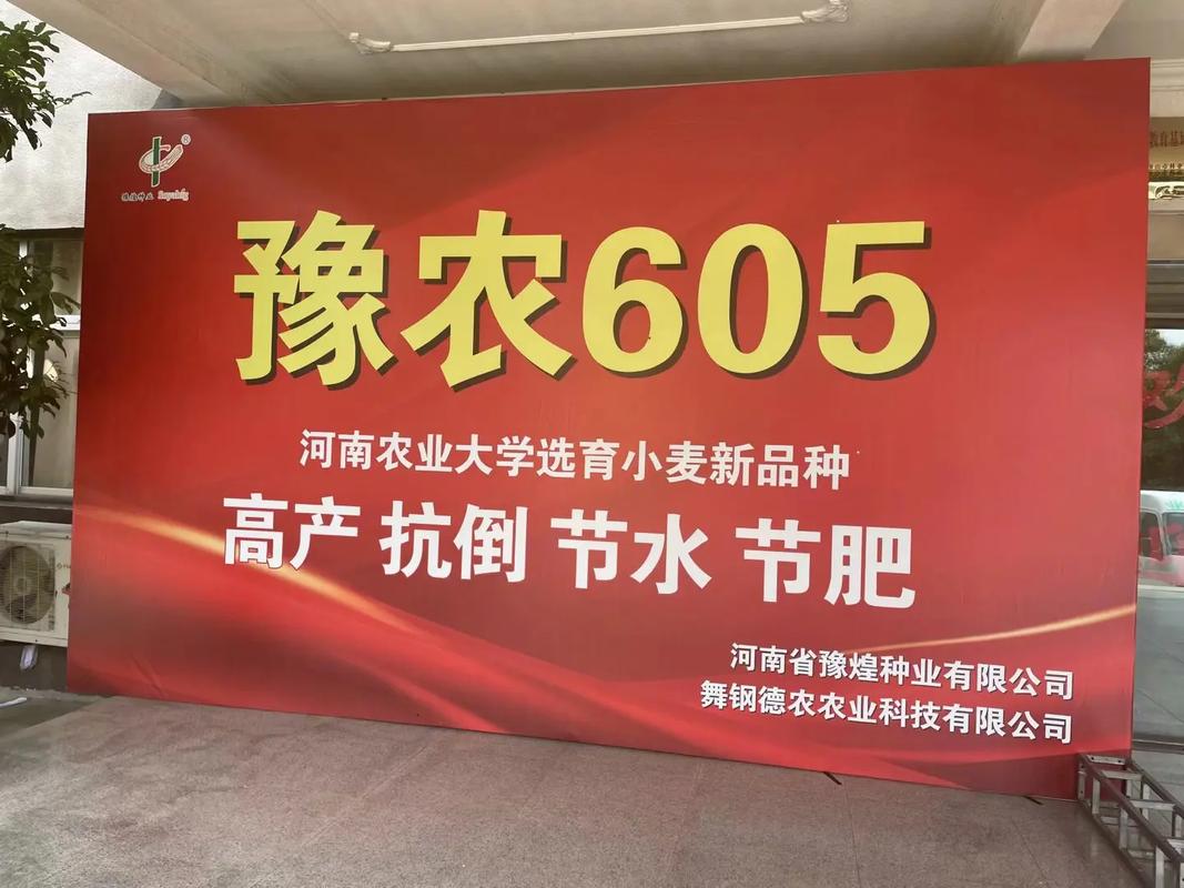 近在眼前的爱：豫农大学生为民工送温暖
