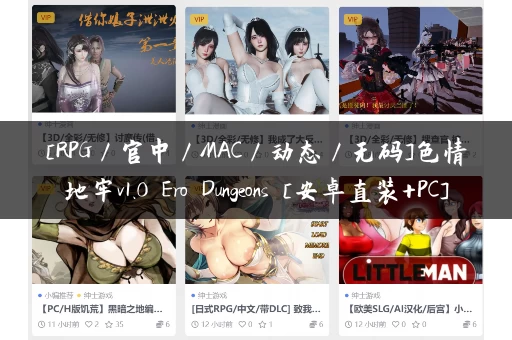 [RPG／官中／MAC／动态／无码]色情地牢v1.0 Ero Dungeons [安卓直装+PC]