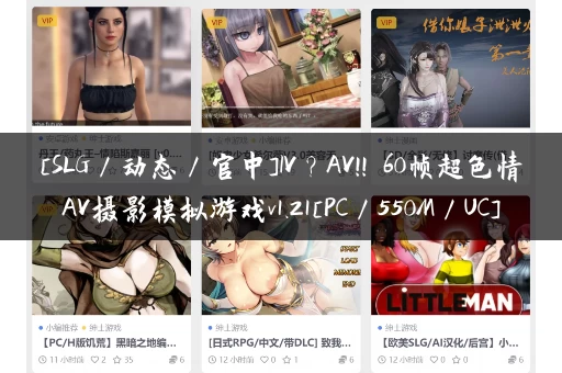 [SLG／动态／官中]IV？AV!! 60帧超色情AV摄影模拟游戏v1.21[PC／550M／UC]