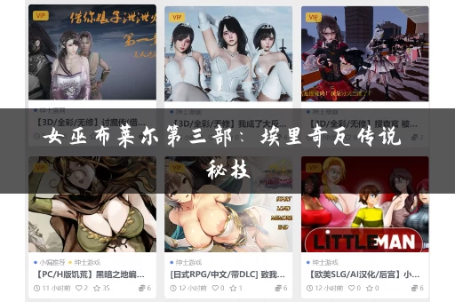 女巫布莱尔第三部：埃里奇瓦传说 秘技