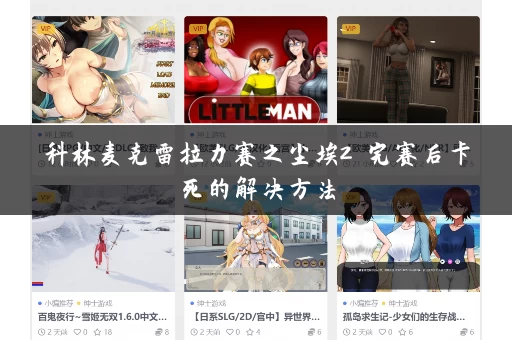 科林麦克雷拉力赛之尘埃2 完赛后卡死的解决方法