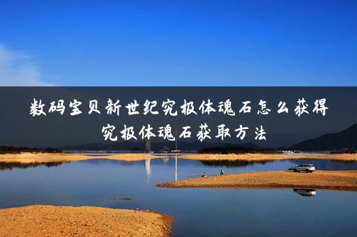 数码宝贝新世纪究极体魂石怎么获得 究极体魂石获取方法