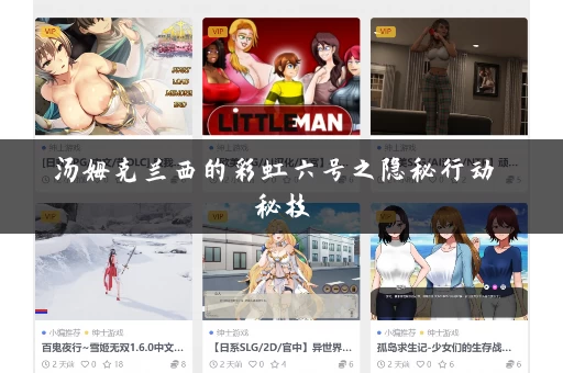 汤姆克兰西的彩虹六号之隐秘行动 秘技