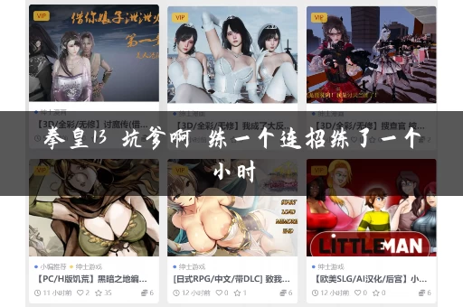 拳皇13 坑爹啊 练一个连招练了一个小时