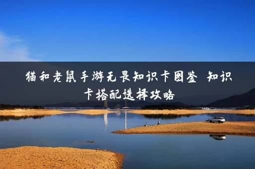 猫和老鼠手游无畏知识卡图鉴 知识卡搭配选择攻略