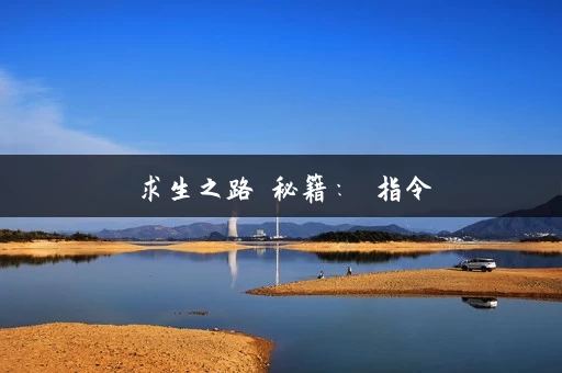 求生之路 秘籍： 指令