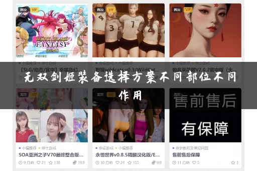 无双剑姬装备选择方案不同部位不同作用