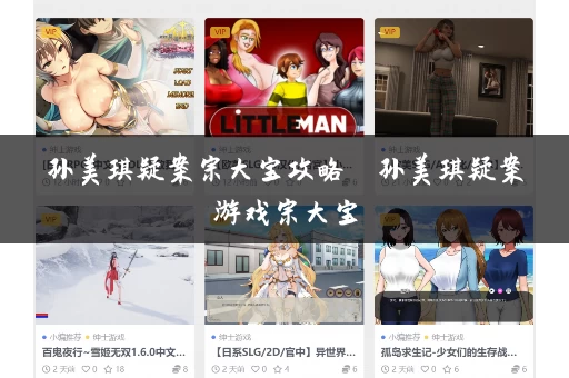 孙美琪疑案宗大宝攻略  孙美琪疑案游戏宗大宝